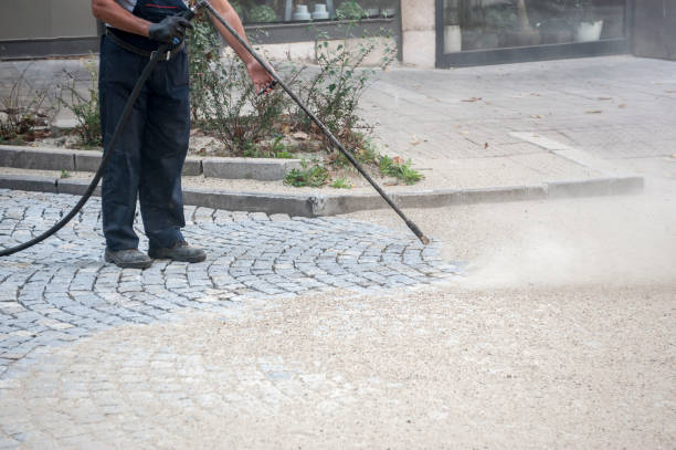 Best Driveway Pressure Washing  in Doylestown, OH